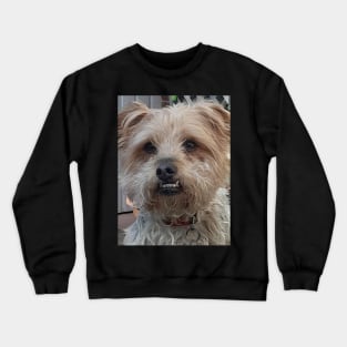 cute dog smiling Crewneck Sweatshirt